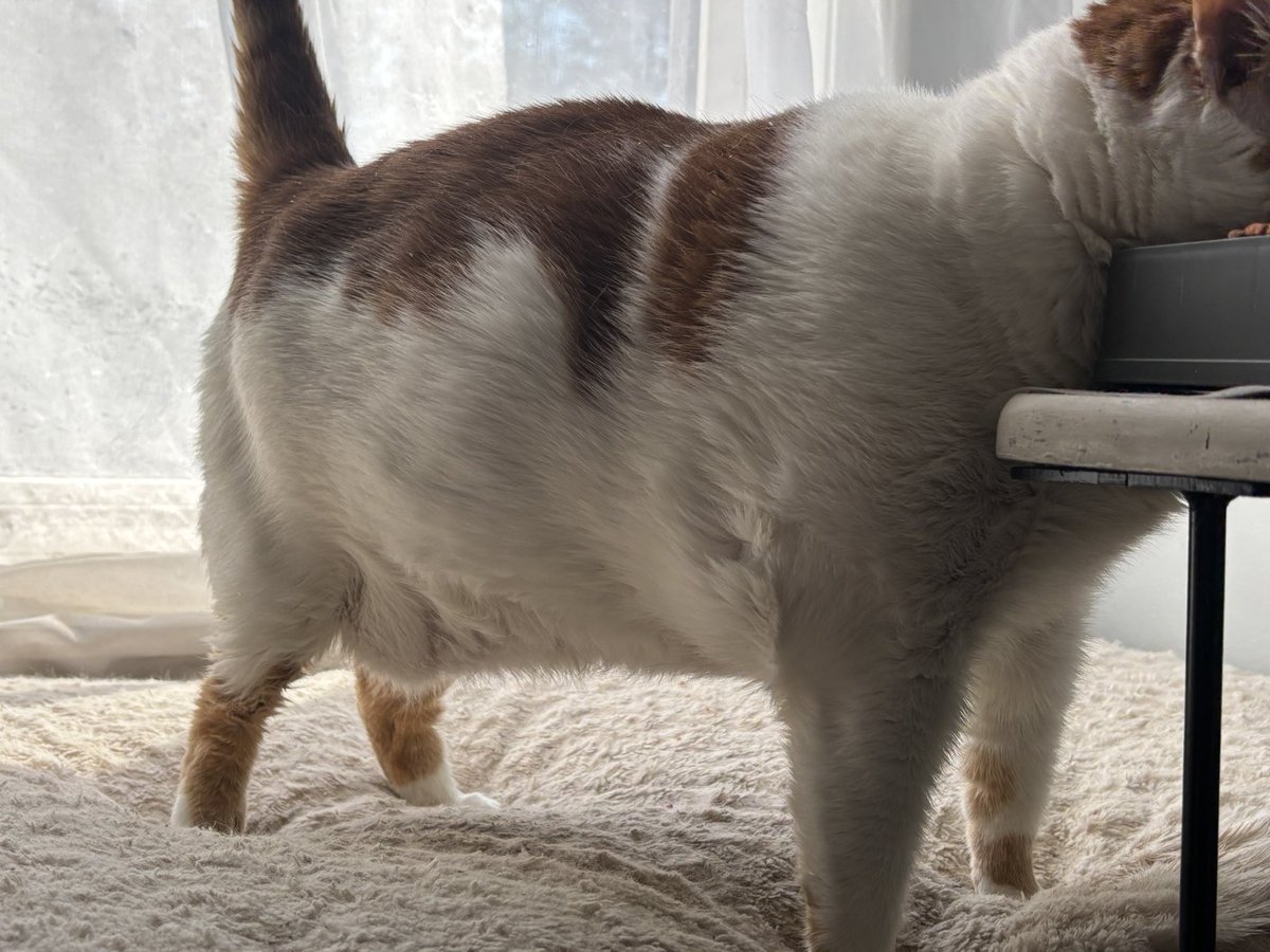 Starting Over tweet media