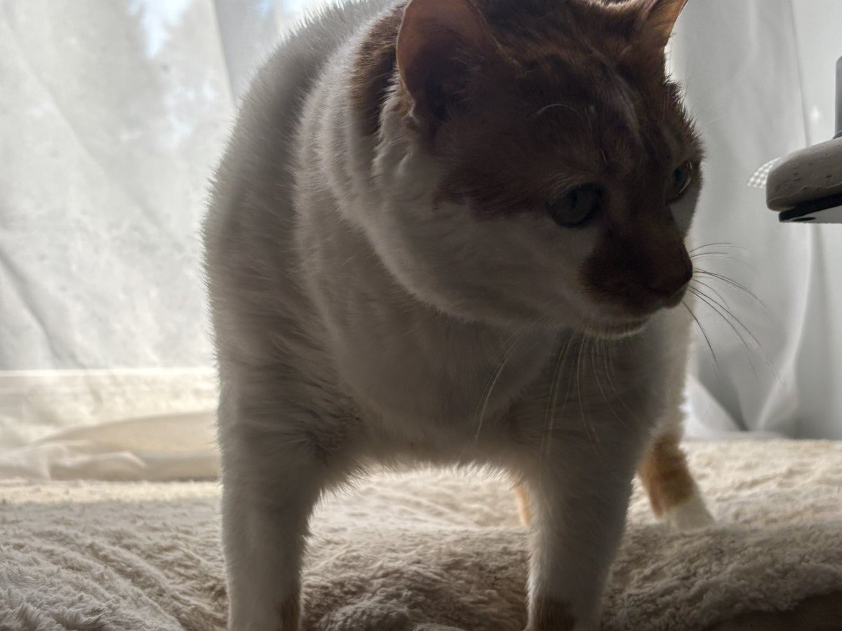 Starting Over tweet media