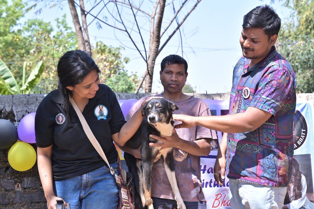 On the occasion of Alia Bhat's 32nd
birthday we Team PLANET ALIA BHATT organised a Vaccination drive for the street Dogs of Ranchi . 
32 Homeless Dogs are vaccinated against canine parvovirus (CPV) ♥️
#HappyBirthdayAliabhatt

HAPPY BIRTHDAY QUEEN BHATT
