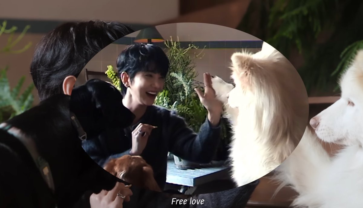 someone show joshua all the dogs in the world pls PLSSSS
