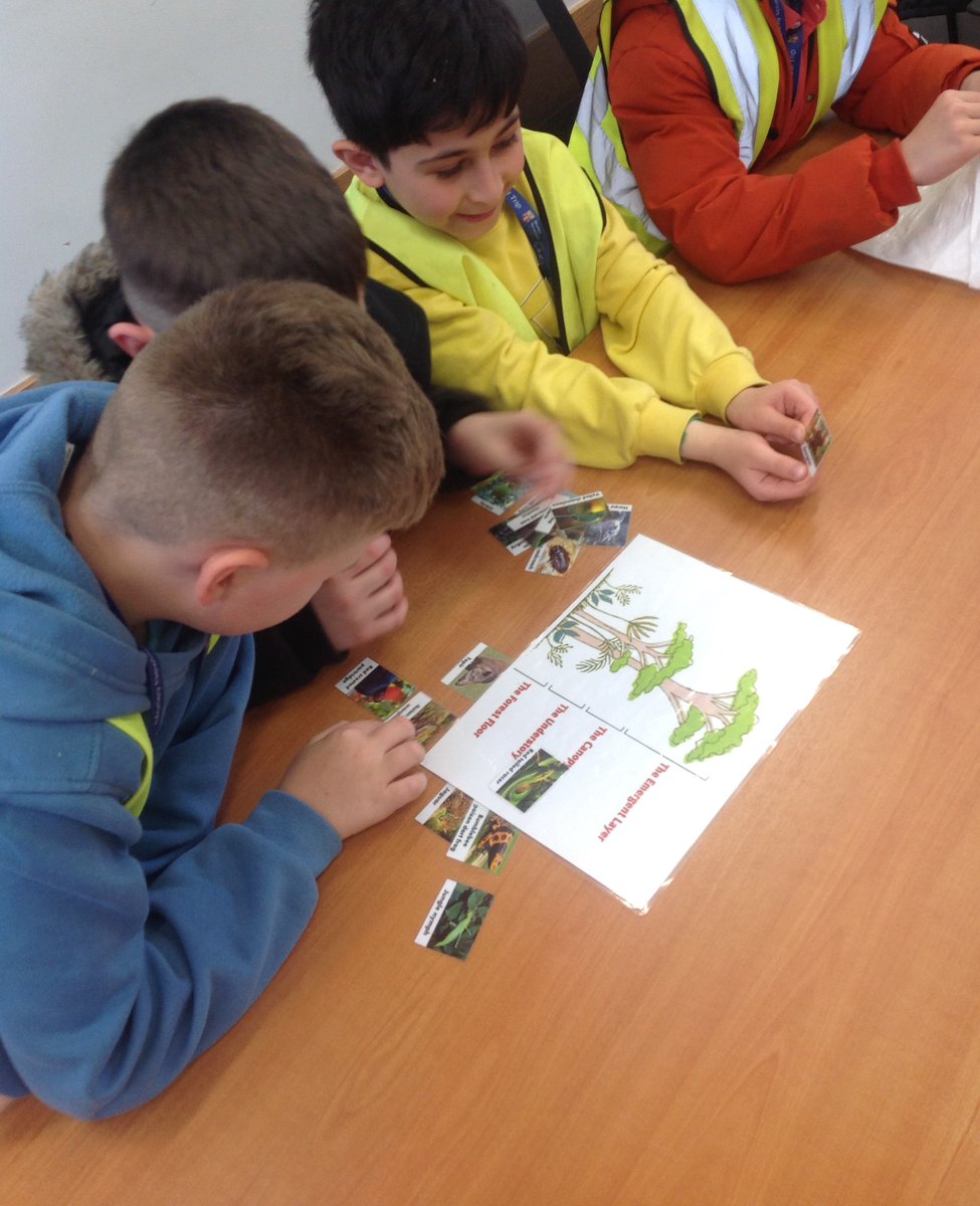 MNA_Year3's tweet photo. Year 3 had a fantastic visit to Tropical World this week! We explored and discovered a range of plants and animals from the tropical rainforest and understood the importance of tropical rainforests on our planet. https://t.co/mdTiluyQ3k