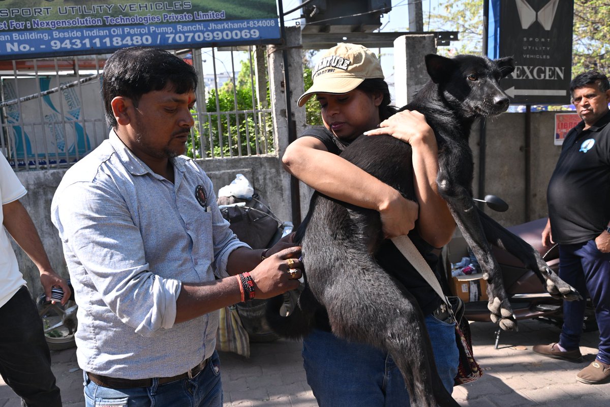 deepjaiswal007's tweet photo. We also Organised a food drive where we donated food for 200 street dogs aroud the city . On the occasion of Alia Bhatt's Birthday 🎂 

HAPPY BIRTHDAY QUEEN BHATT
#HappyBirthdayAliaBhatt https://t.co/fGeaGYJSlc