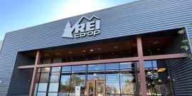 GEO Collective tweet media