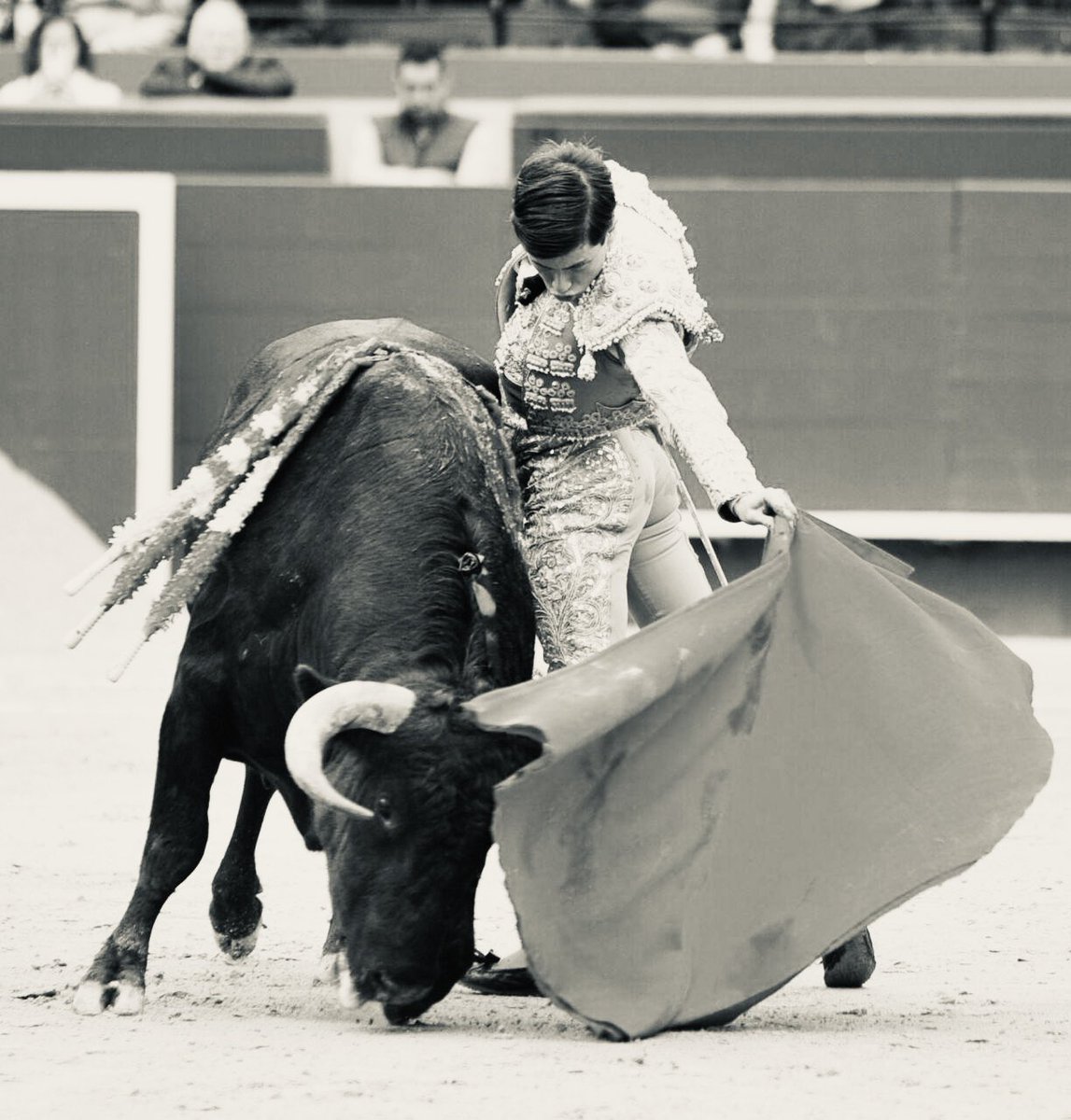 🧨 🧨 

Fallas 2025.