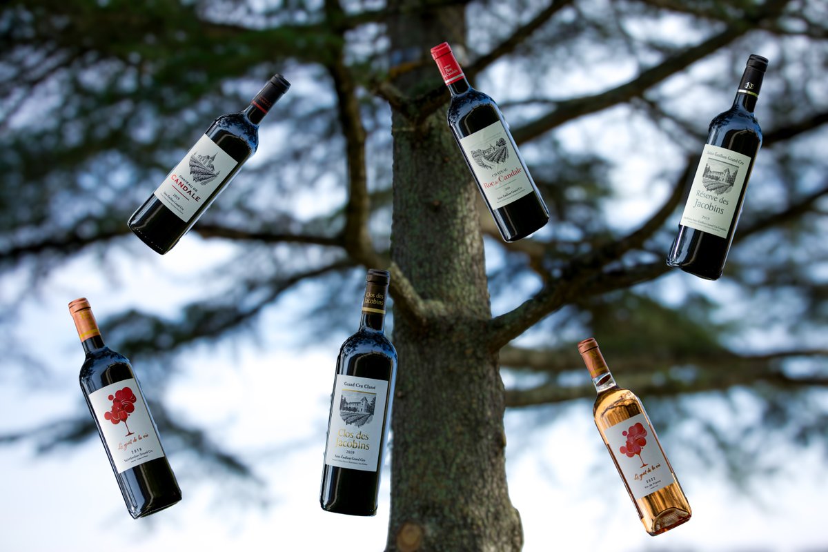 🇫🇷 {OFFRE – LE PRINTEMPS DES 2019}🌷 
Laissez la saison printanière réveiller vos papilles !
Savourez notre sélection exclusive de vins en coffret de 6 bouteilles 🍷
Profitez-en avant le 4 mai 2025 !