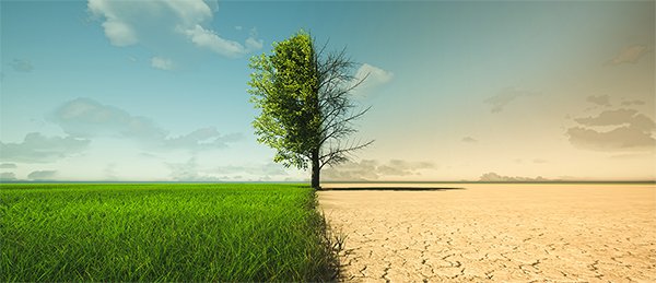 Saclay Plant Sciences (SPS) tweet media