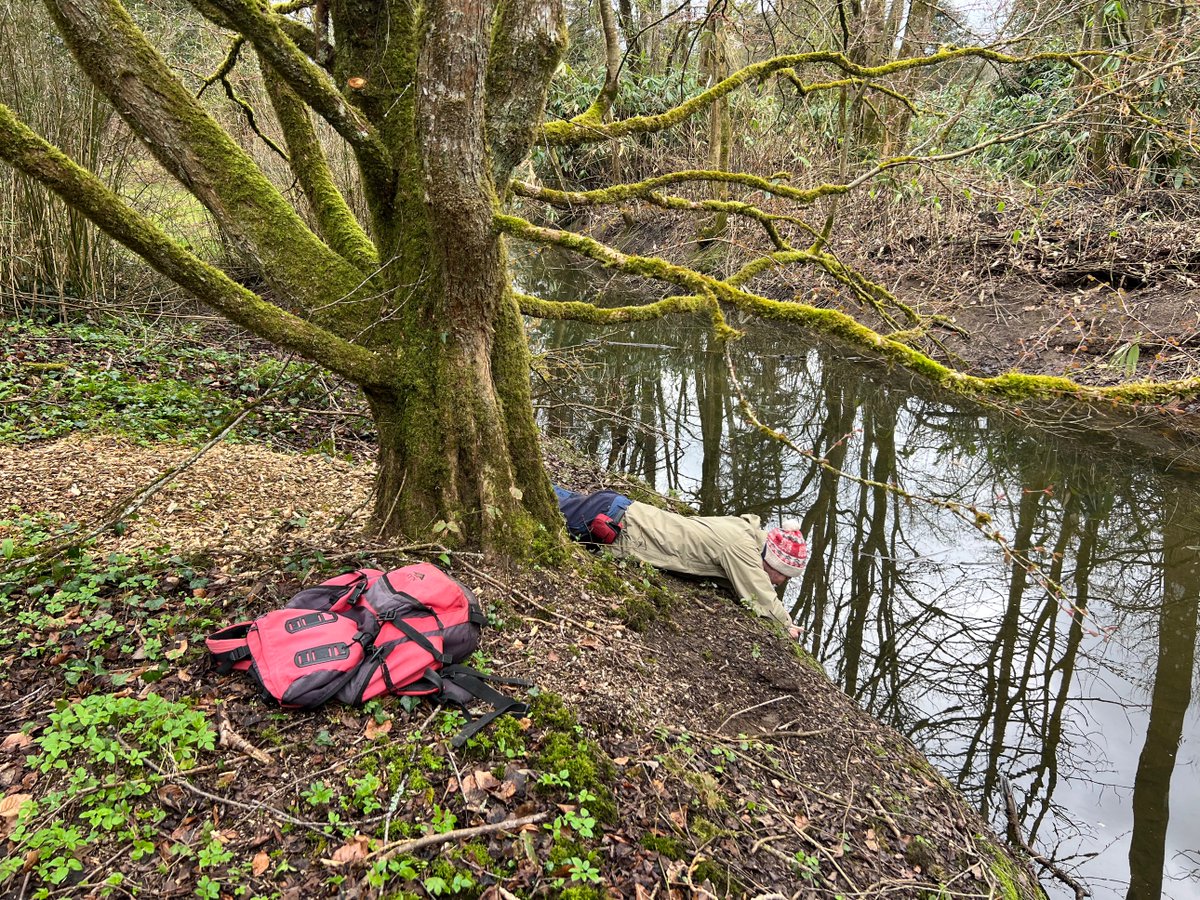 The Irish Bryophyte Group had a lovely weekend recording with Chris Preston on 8 &amp; 9 March. On Saturday we recorded at Birr Castle, Co. Offaly. Great to see the The Leviathan of Parsonstown (telescope) and lovely old oaks. Several new vice county records made (hopefully!).