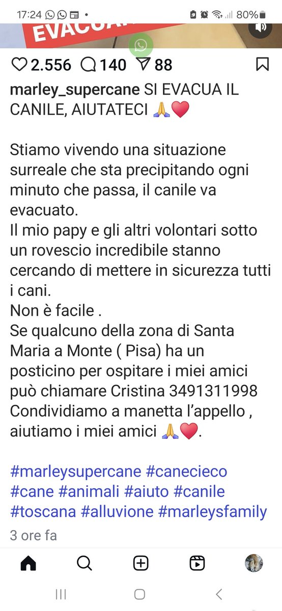 Se qualcuno può aiuti🙏🙏