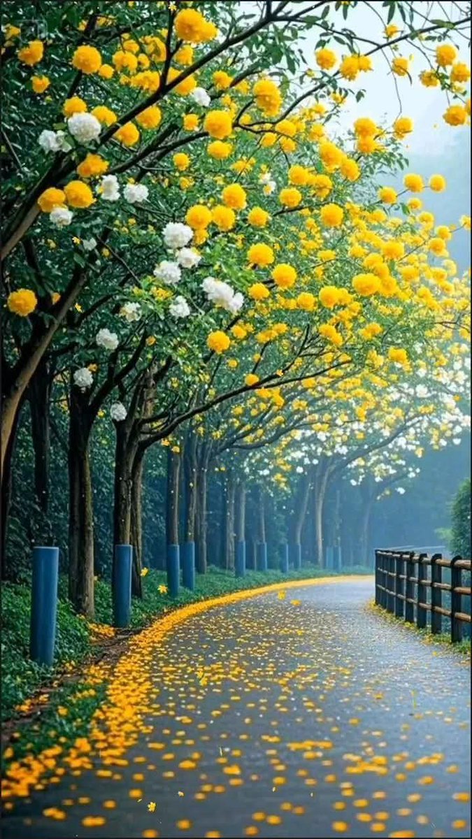 ⚘⚘IMAGENES⚘⚘ (@fernand07219069) on Twitter photo 