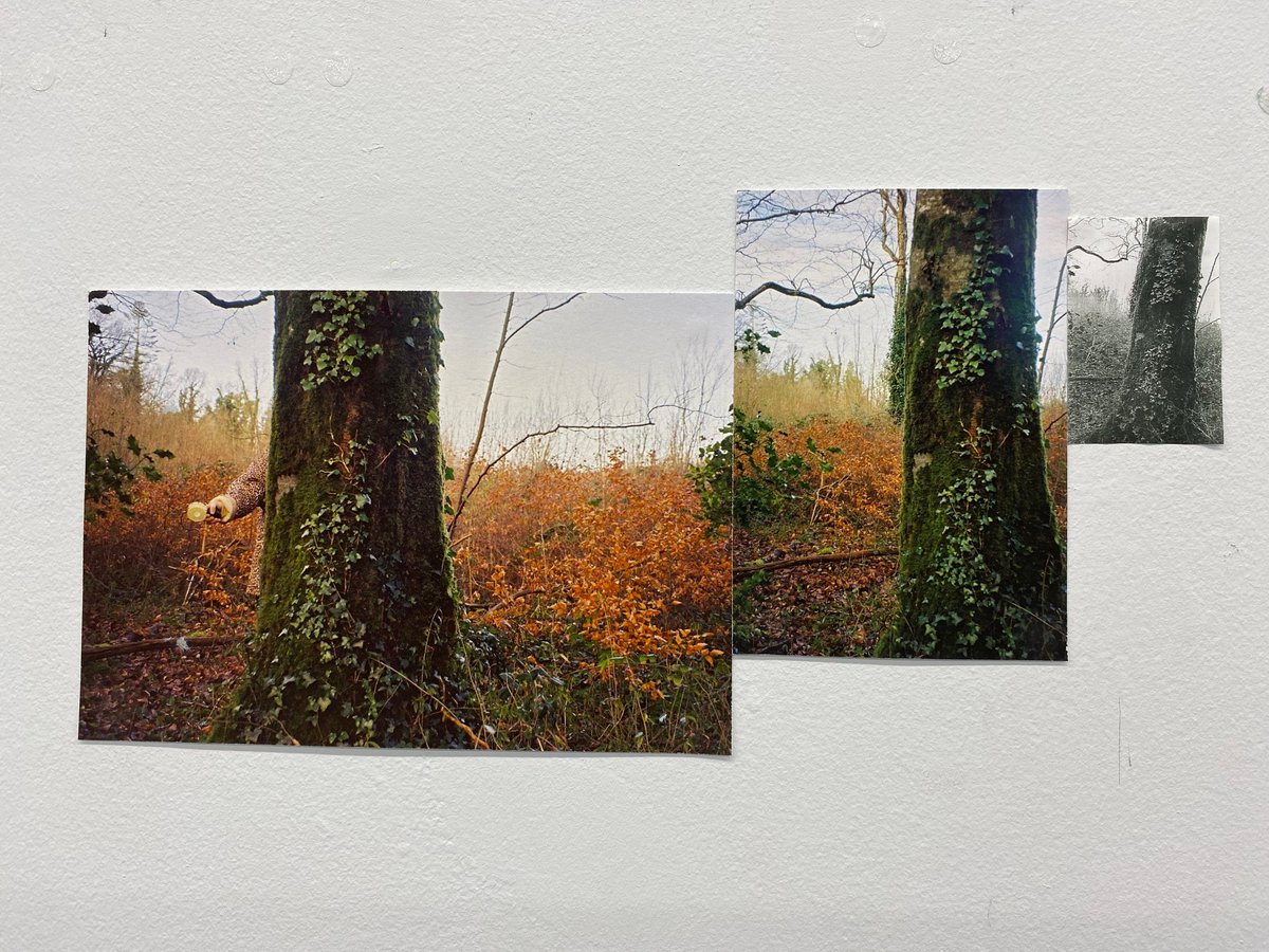 Limerick Gallery tweet media