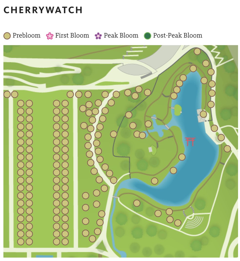 If you like data, flowers, and NYC (like I do) you should check out the Brooklyn Botanic Garden's Cherrywatch