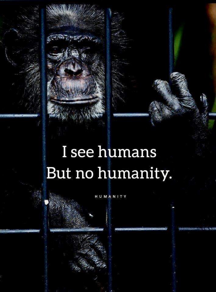 Life_Lover tweet media