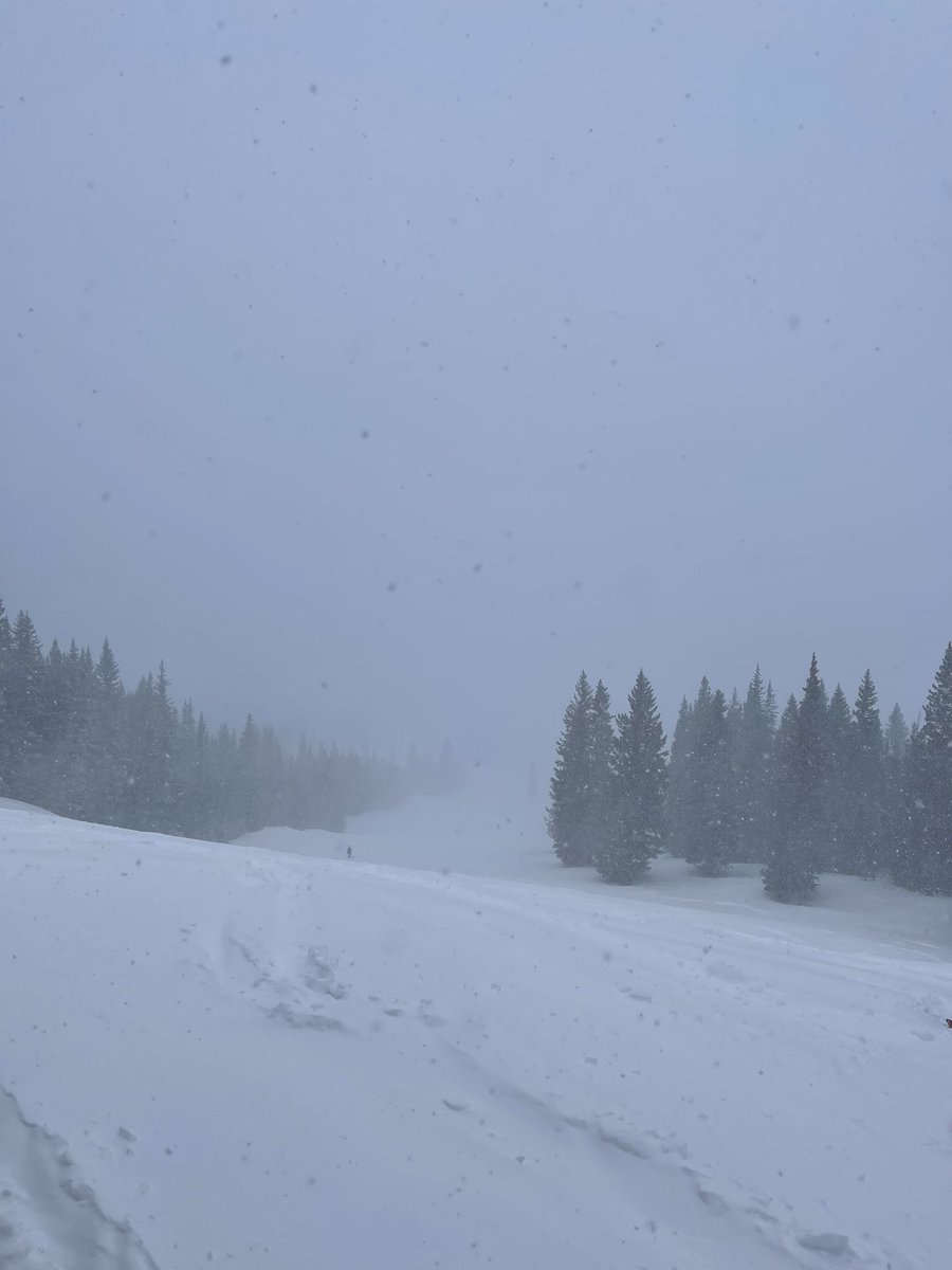 Womp Johnson 🇹🇹🇻🇦🇺🇸 tweet media