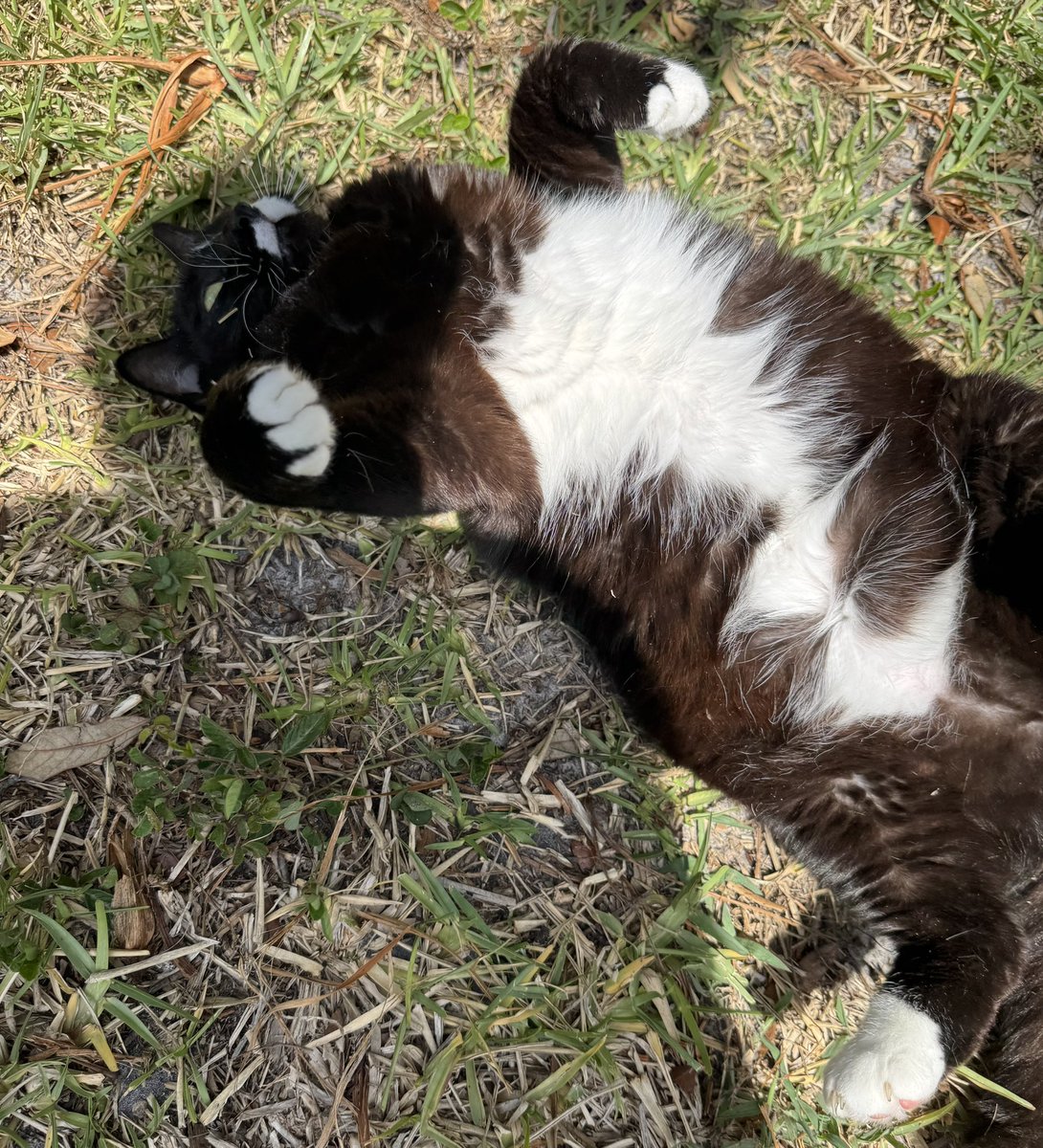 Wendy Boucher tweet media