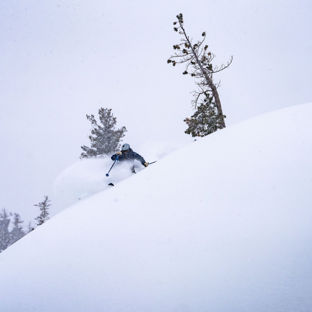 Hope your weekend looks a lot like this 🤿

📸 Palisades Tahoe