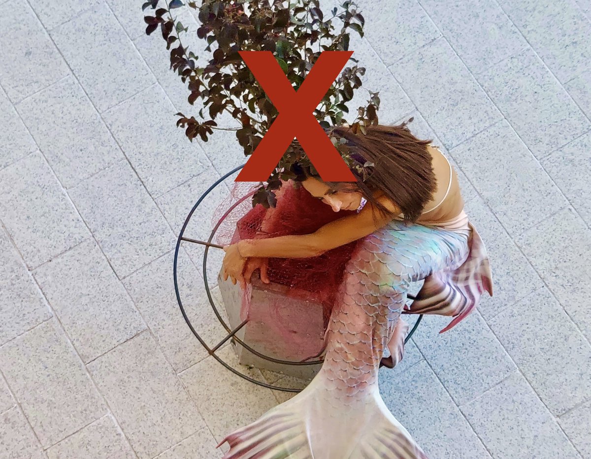 BIONIC FESTIVAL tweet media