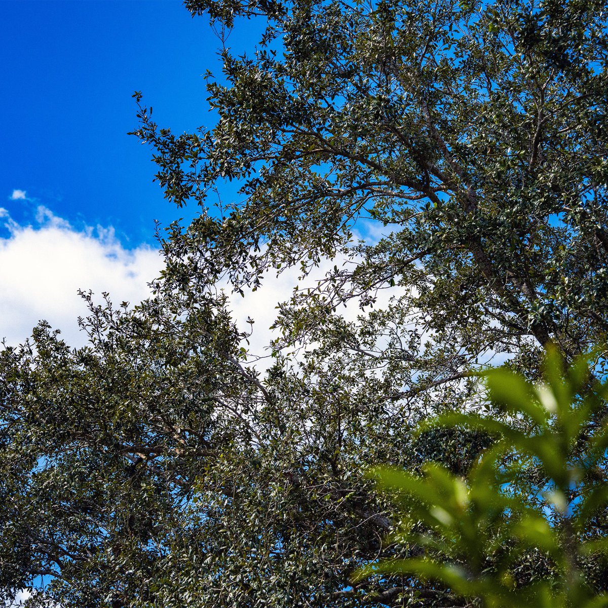 SMNDesign tweet media