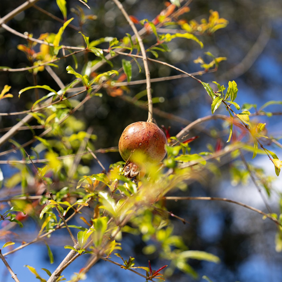 SMNDesign tweet media