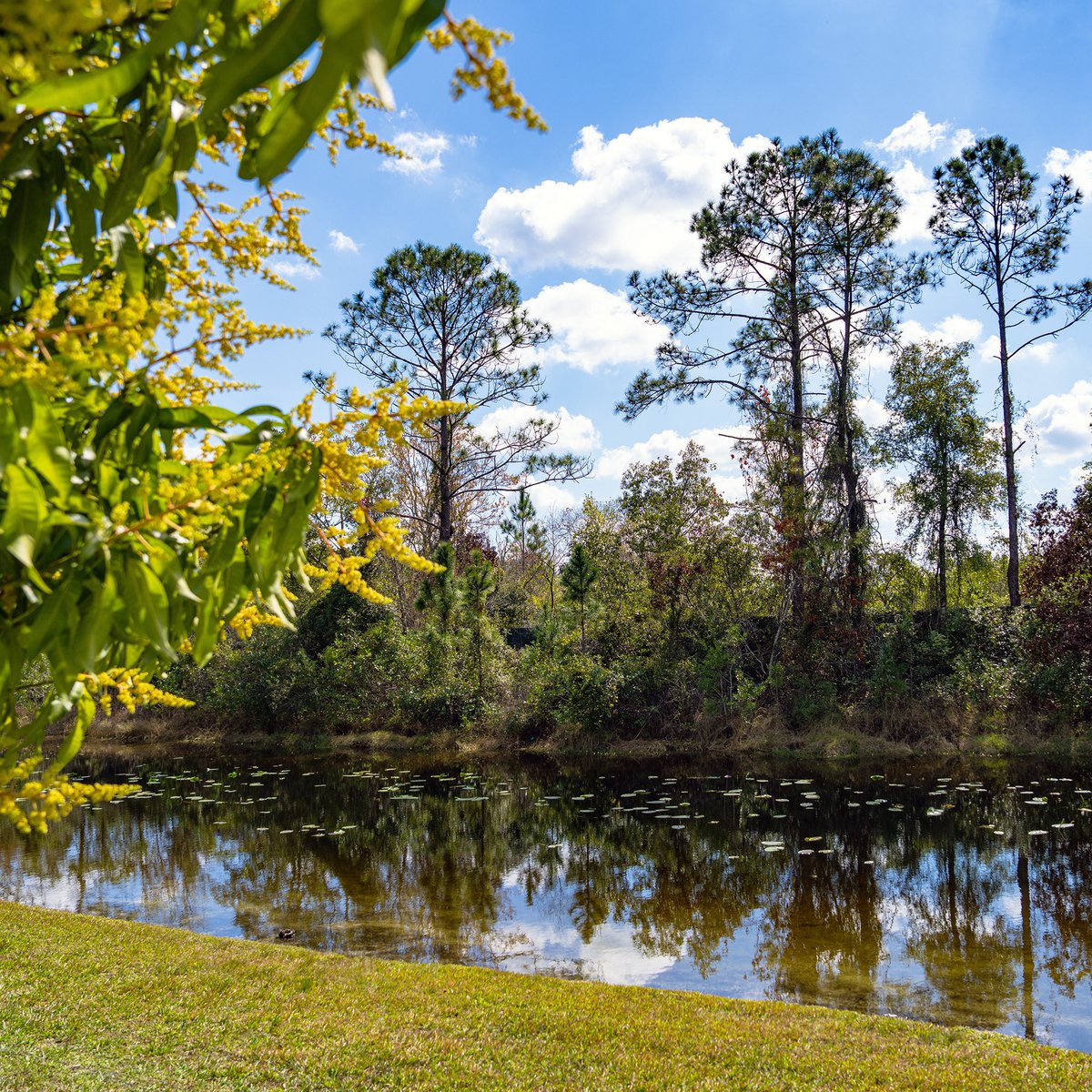 SMNDesign tweet media