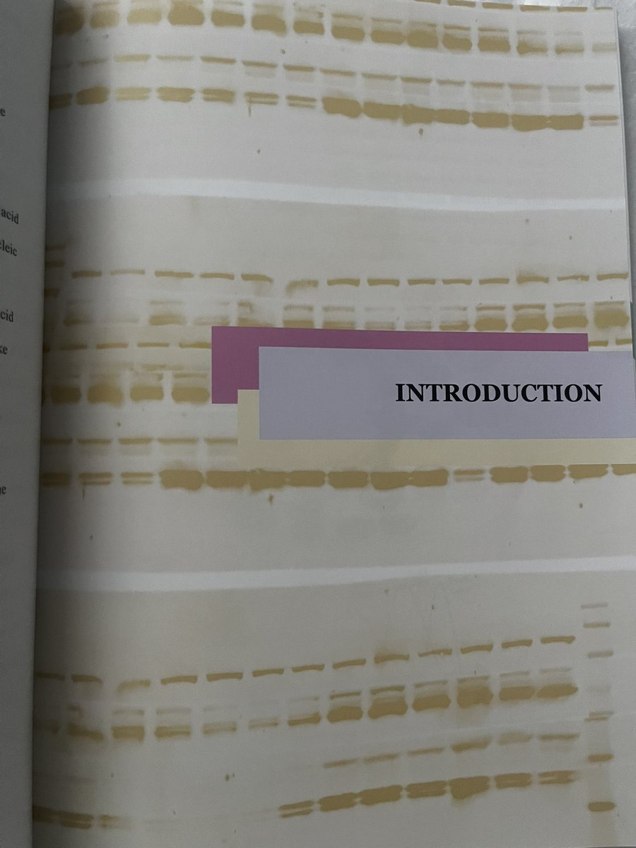 Ana Monfort-Vengut tweet media