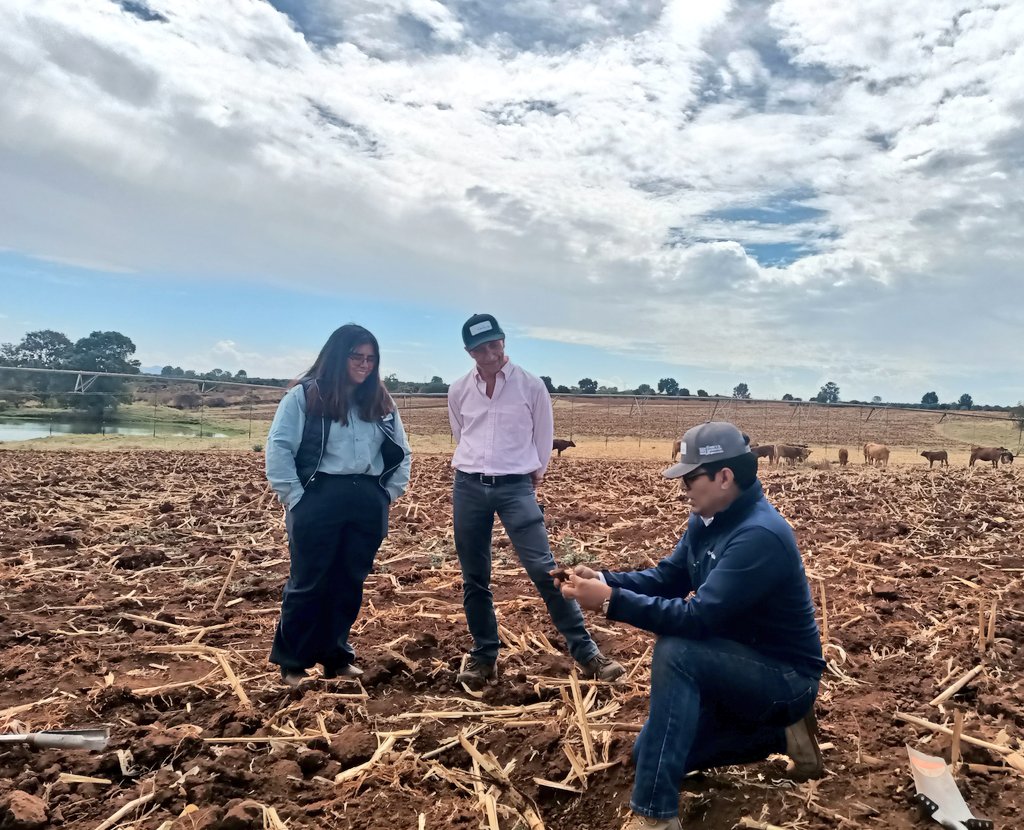 La mejora de los sistemas Agroalimentarios inicia aquí, en el suelo 🇲🇽

<a href="/IttaAgronomy/">ITTA-AGRONOMY</a>
