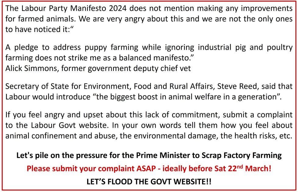 Let’s pile on the pressure for the government to scrap factory farming - raise a complaint here: labour.org.uk/resources/maki…

#scrapfactoryfarming #factoryfarming #animalcruelty #climatecrisis #pandemics #antibioticresistance