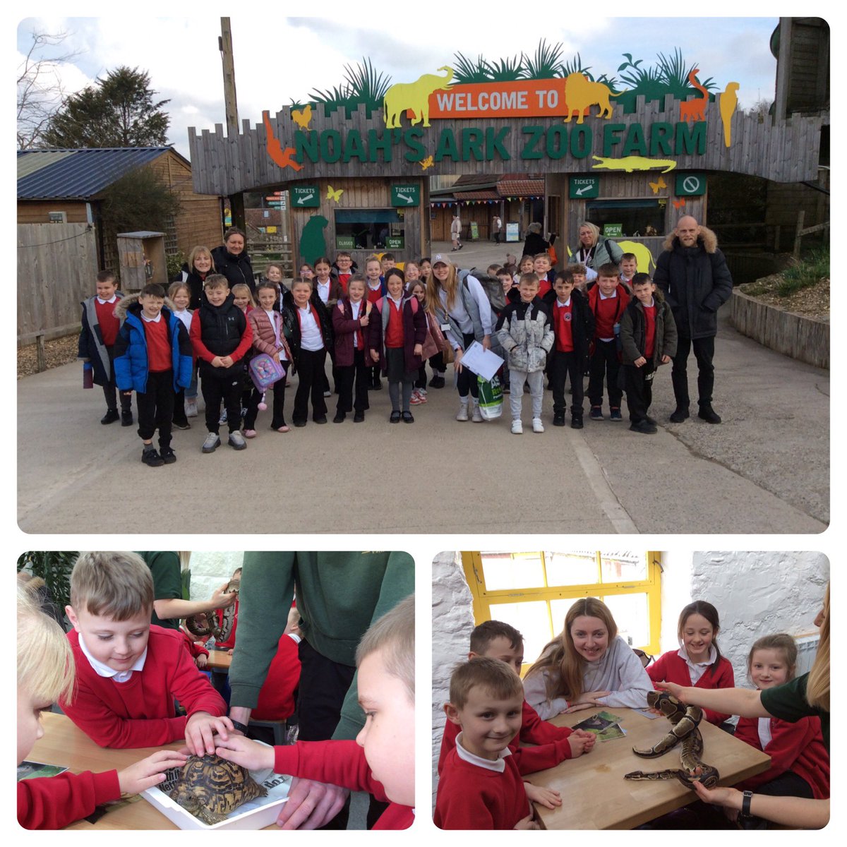 Dosbarth Bala (@idsbala) on Twitter photo We were ethical, informed citizens today visiting <a href="/Noahs_Ark_Zoo/">Noah's Ark Zoo Farm</a>. We learnt about the endangered species we need to protect and what we can do to help them <a href="/IDS3to18/">Idris Davies School 3_18</a> <a href="/IDS_Mrs_Parfitt/">Mrs D Parfitt</a> We were ethical, informed citizens today visiting <a href="/Noahs_Ark_Zoo/">Noah's Ark Zoo Farm</a>. We learnt about the endangered species we need to protect and what we can do to help them <a href="/IDS3to18/">Idris Davies School 3_18</a> <a href="/IDS_Mrs_Parfitt/">Mrs D Parfitt</a>