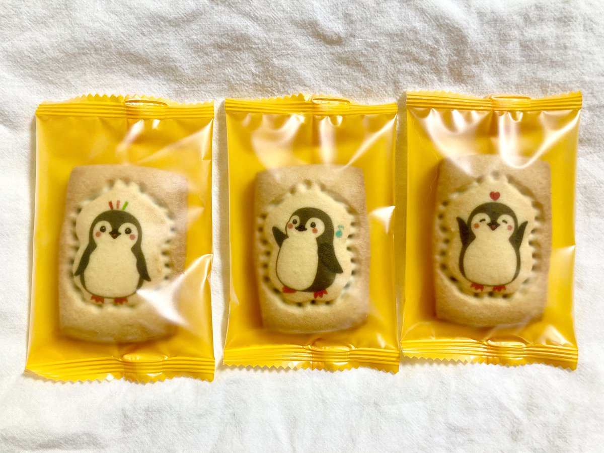 妹から貰った仙台うみの杜水族館のわくわくペンギンびよりショコラ