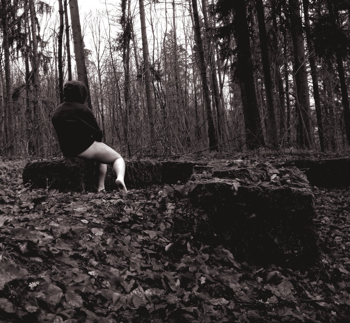 Stefan  🇪🇺 🌫️@kweku.de tweet media