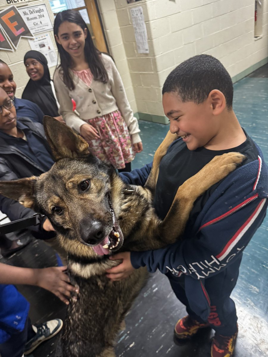 PPDCanineUnit's tweet image. Today @PhillyPolice Sgt Johnson, K9 Red, Ofc Morrow and K9 Kai got to attend career day at Elwood Elementary School. Needless to say the young scholars were excited to hear about K9 duties and interact with our 🐾 🐕 @ppd35dist @PHLschools