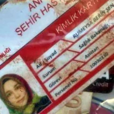 ş the baby koaℓa tweet media