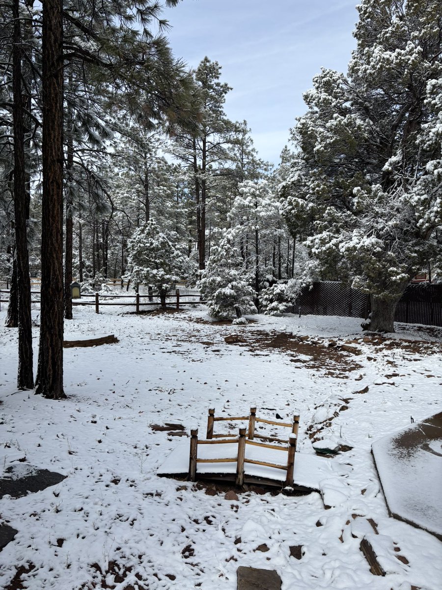 Good morning from beautiful peaceful ShowLow Arizona