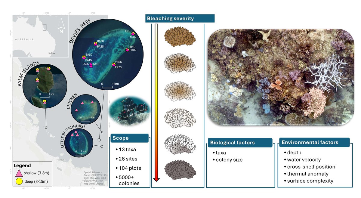 Global Change Biology tweet media