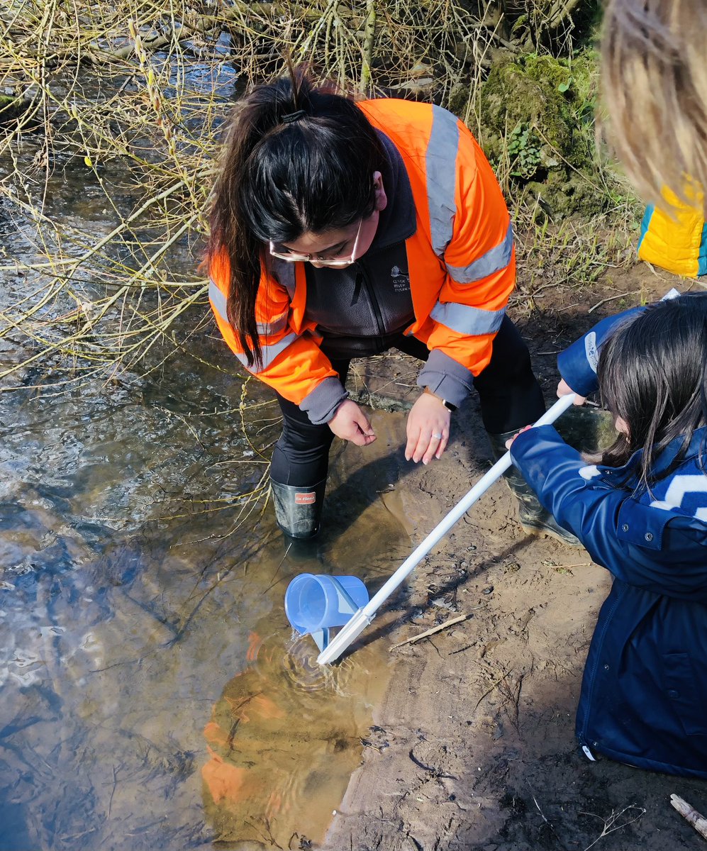 Sorcha Dallas Gray tweet media