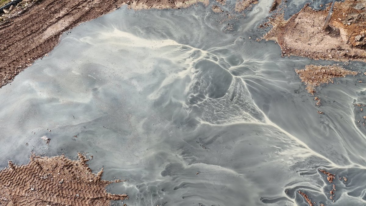 StopTheStinkTV tweet media