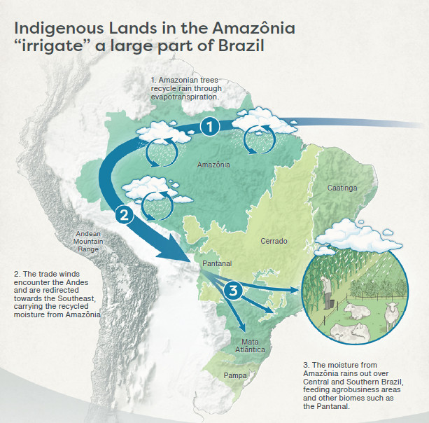 ForestPlots tweet media