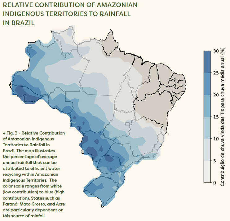 ForestPlots tweet media
