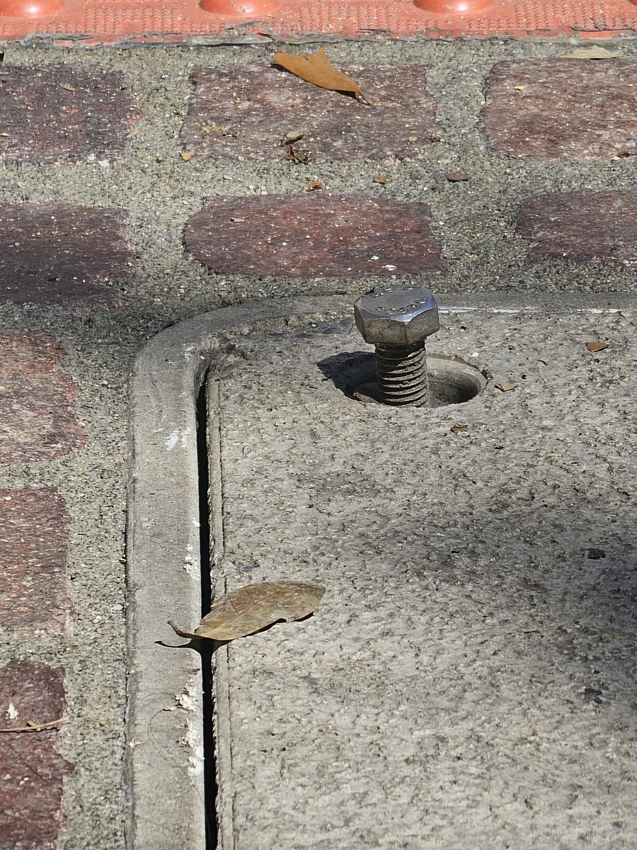 Real Blue Duran tweet media