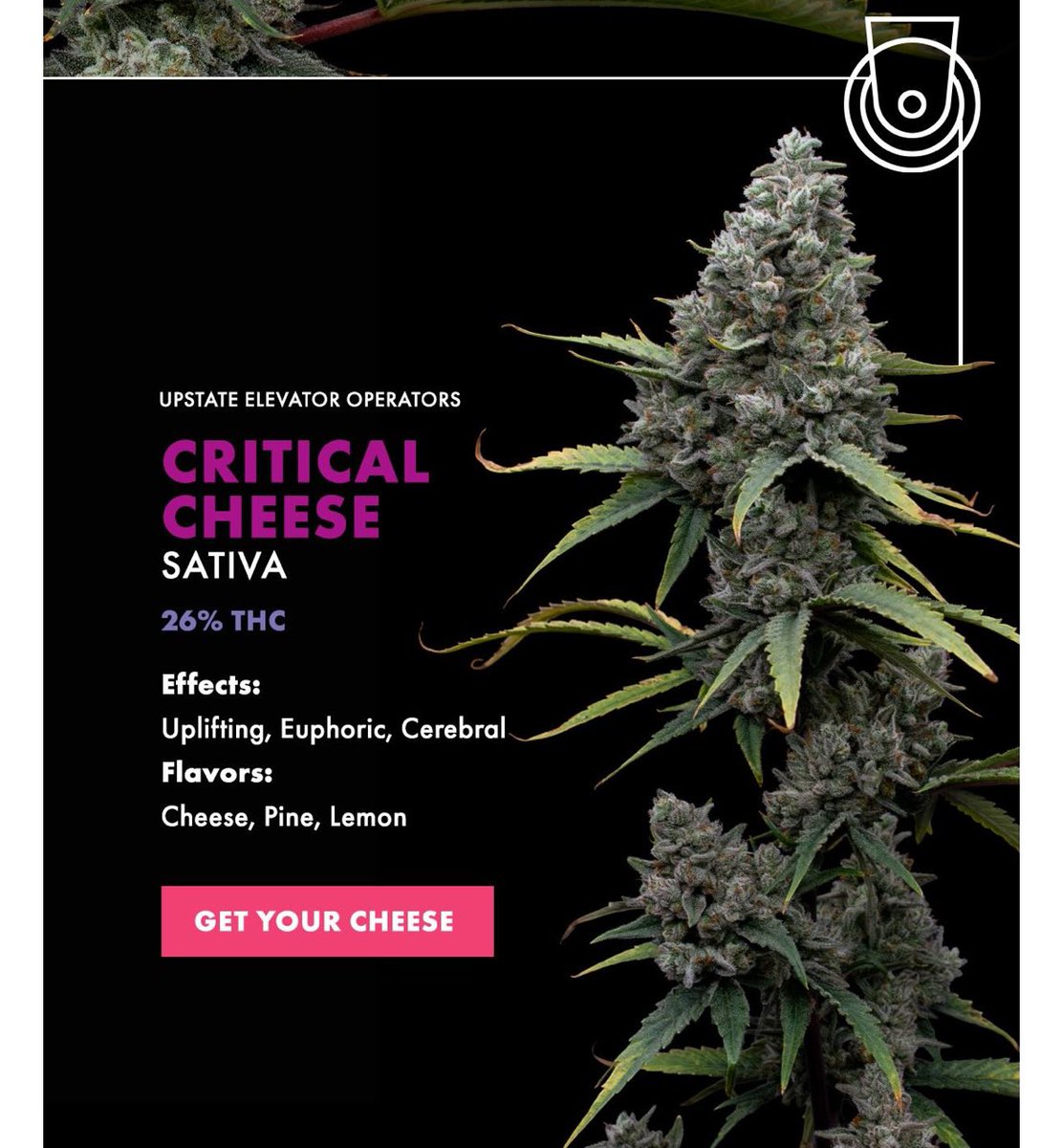 Just hit the Critical Cheese....