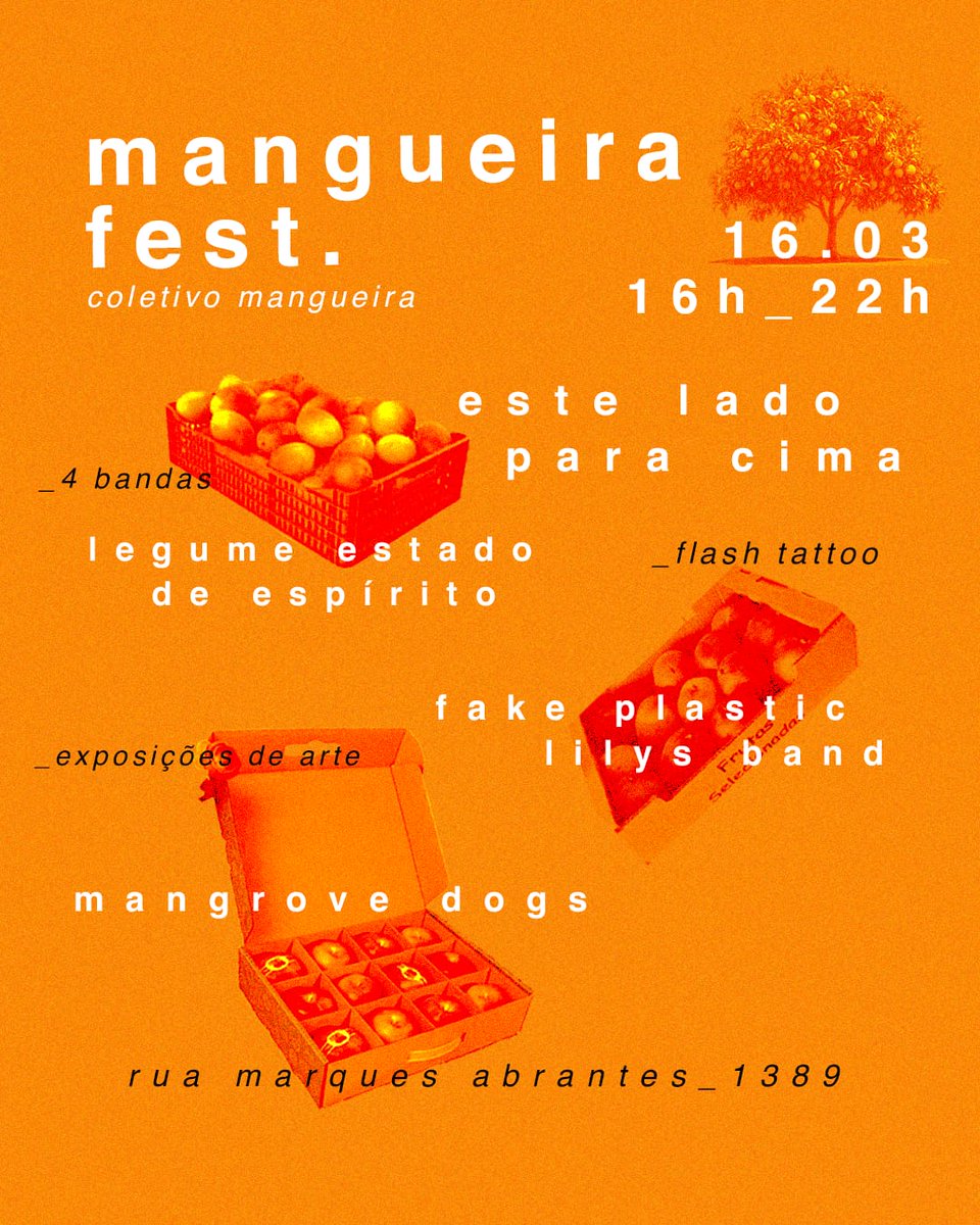 Mangrove Dogs tweet media