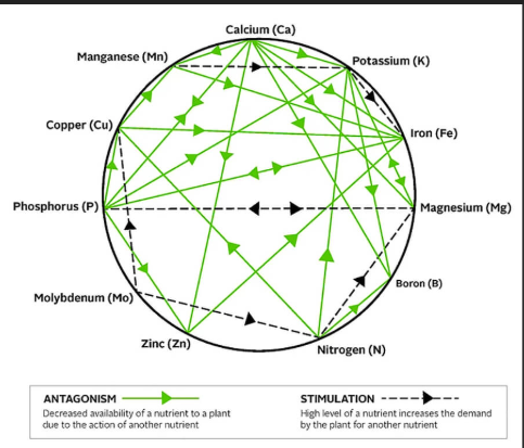 Do a Google search for “Mulders Chart.” Click the images tab. You’ll quickly be inundated with hundreds
of circular graphics with interconnected lines among 10 to 30 nutrients. Most of the graphics will be
from online stores or gardening information websites. Some are from
