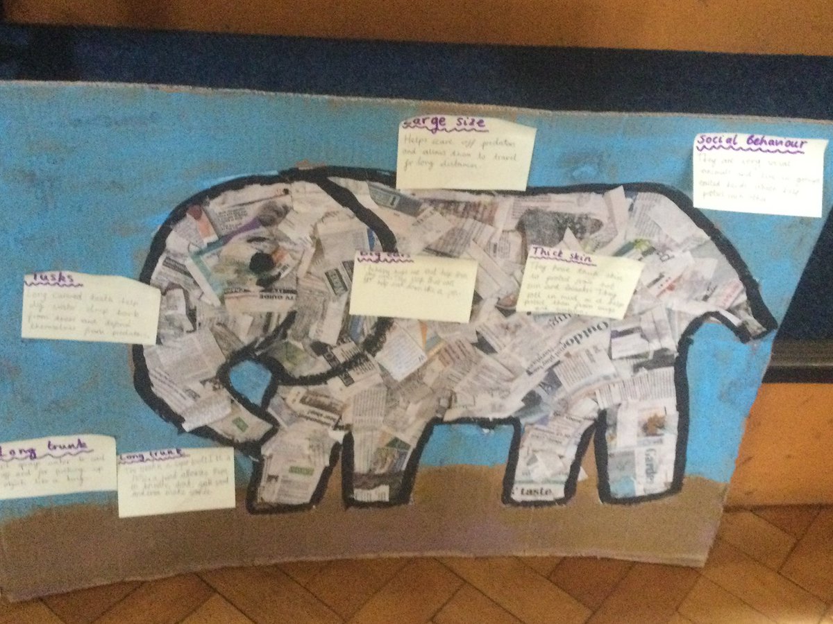 Starbeck Primary Academy tweet media