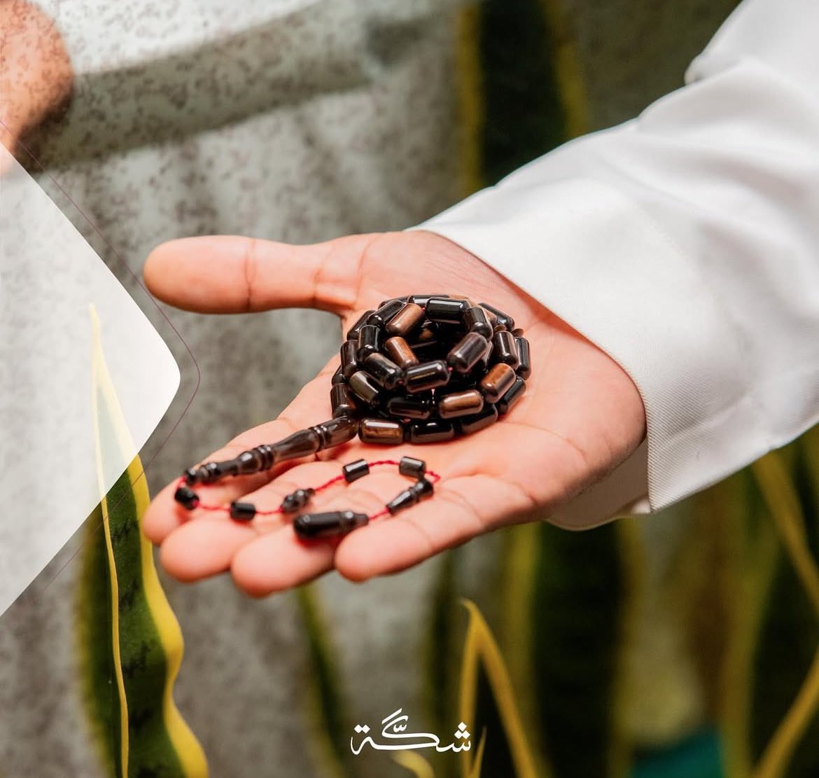 mn0l_0's tweet photo. #شكة_صح٥
#شكة_صح٥ 
اي صح 📿.

يارب يكون من نصيبي

.

🤍🤍🤍🤍
📿📿📿📿٥#شكة_صح٥ https://t.co/IMMK2QUfzR