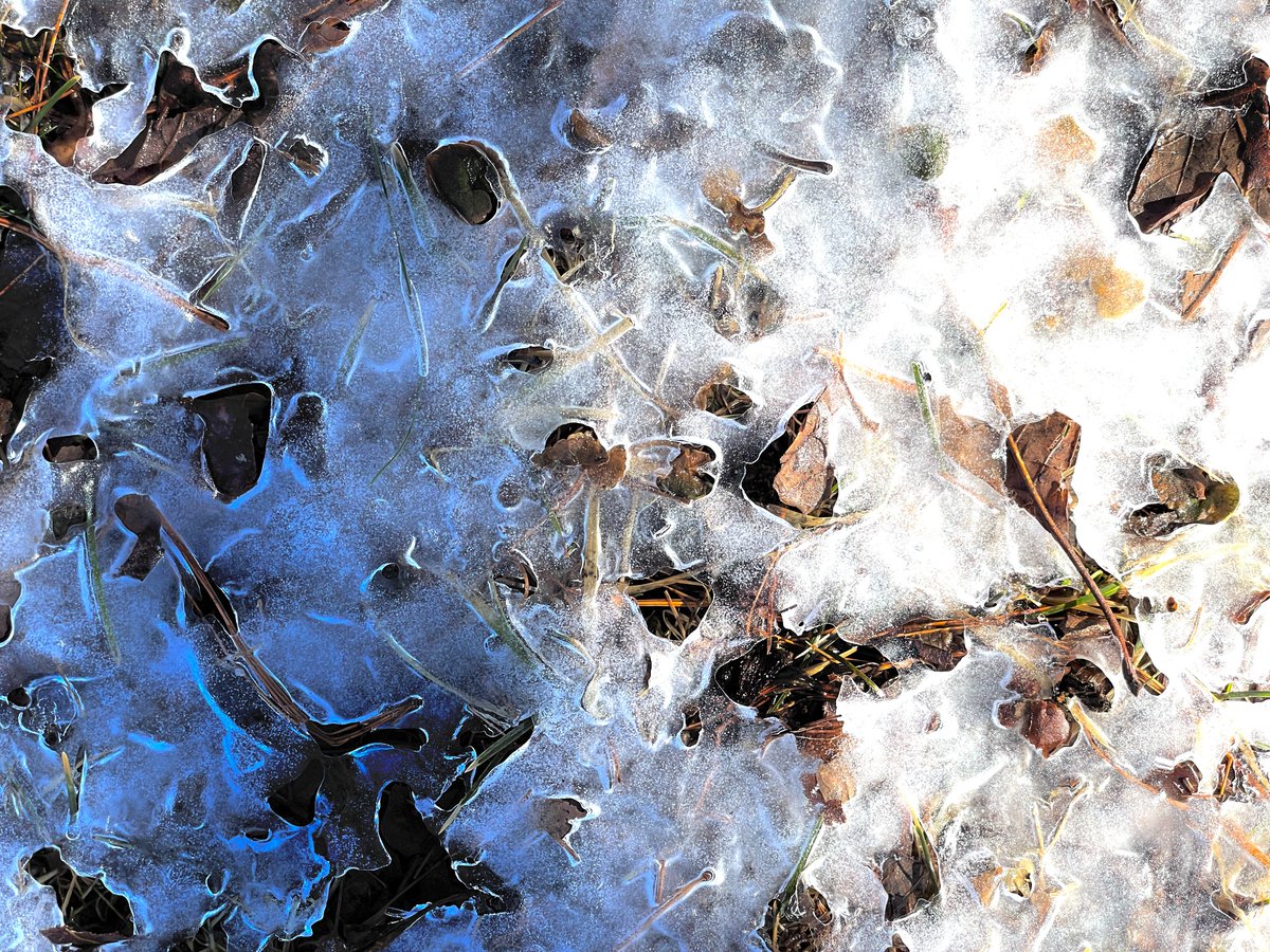 theMisterG tweet media