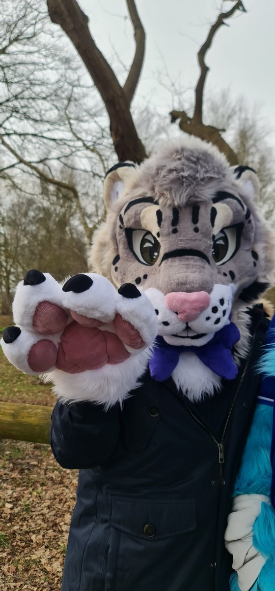 Here's some of the first photos of my partial, posing with <a href="/DravyDra30/">Dravy / Korino ❄️🐉</a> ! Special thanks to <a href="/TubeBoiiEddy/">TubeBoiiEddy</a> for taking the photos and a HUGE thanks to <a href="/FurNEkkoCr/">FurNEkko Creations ⸸ NEkko</a>  who created it!

#FursuitFriday #FursuitsFriday