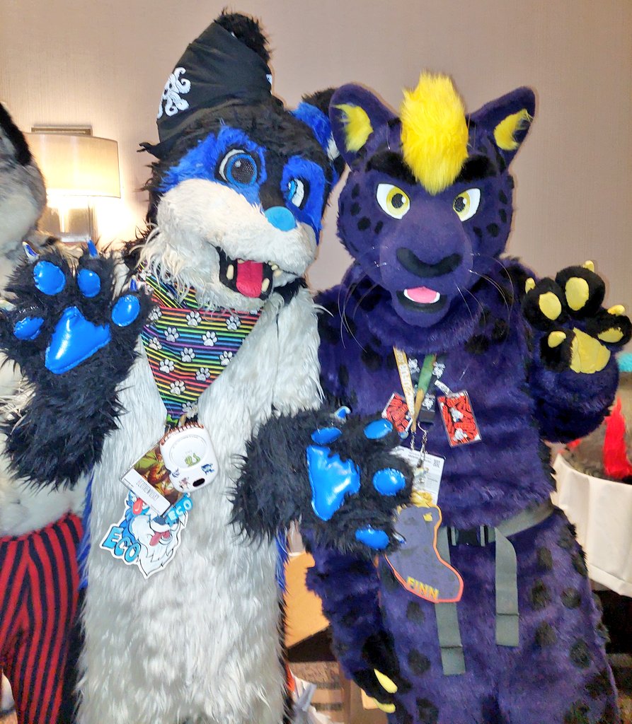 Eco the wusky 🇨🇦 🔜 @calfurry (@aurorawusky69) on Twitter photo Hehe. I guess cats and dogs can get along after all 💜💛
😻 <a href="/FinnThePanther/">Finn 🔜 Furlandia</a>
📸 <a href="/mattyh1717/">WolfPen</a>
📍 <a href="/VancouFUR/">VancouFur 2025 - Tails of Treasure</a>
#FursuitFriday Hehe. I guess cats and dogs can get along after all 💜💛
😻 <a href="/FinnThePanther/">Finn 🔜 Furlandia</a>
📸 <a href="/mattyh1717/">WolfPen</a>
📍 <a href="/VancouFUR/">VancouFur 2025 - Tails of Treasure</a>
#FursuitFriday