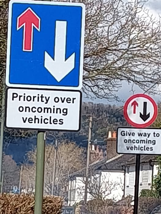 RagsandRuby's tweet image. Surrey County Council have scored a blinder with their new traffic calming signage at Brockham