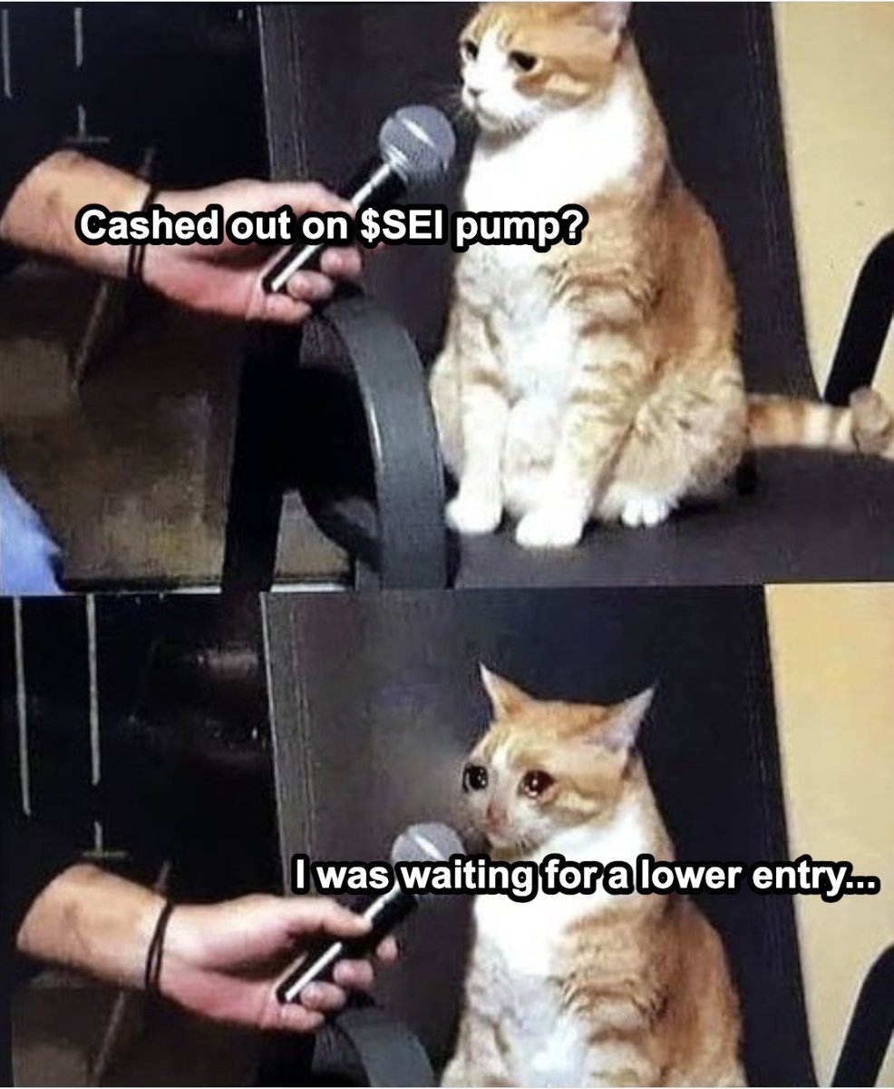 Moonlit 明月 ∑: tweet media