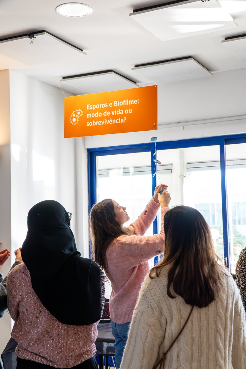 ITQB NOVA tweet media