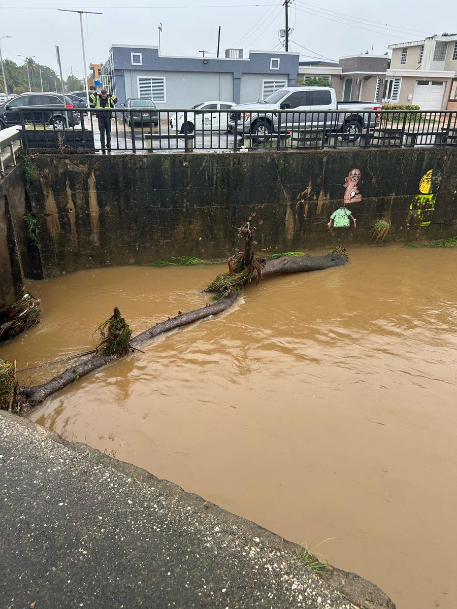 Ramon Luis Rivera tweet media